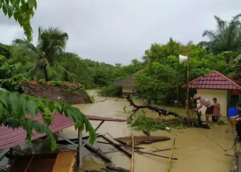 Banjir Pandeglang Meluas Hingga 12 Kecamatan