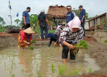 Kecamatan Pinang Bakal Punya Lokasi Agrowisata