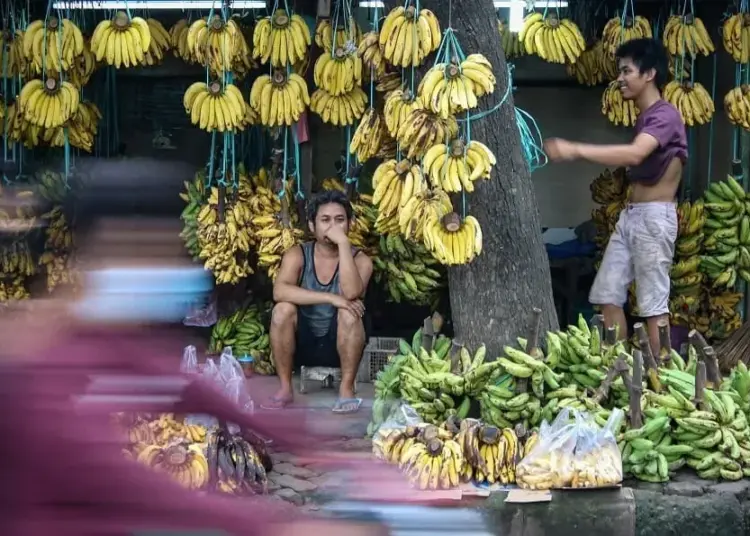 Penjualan Pisang Meningkat di Masa Pandemi