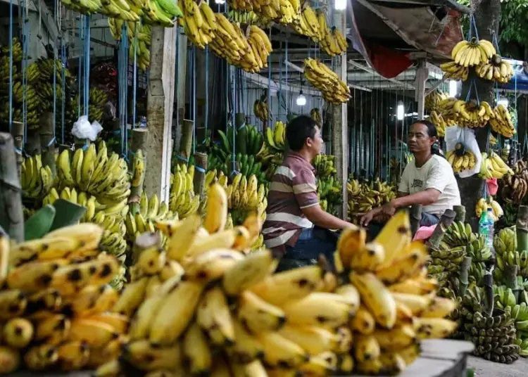 Penjualan Pisang Meningkat di Masa Pandemi