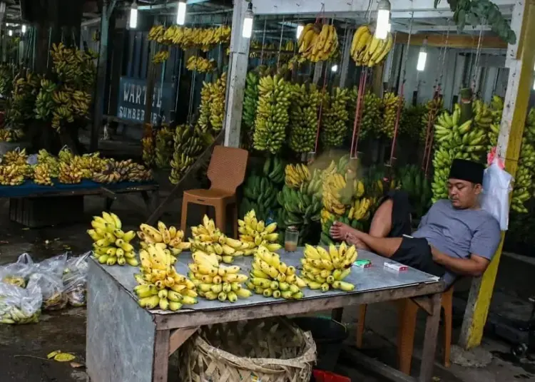 Penjualan Pisang Meningkat di Masa Pandemi