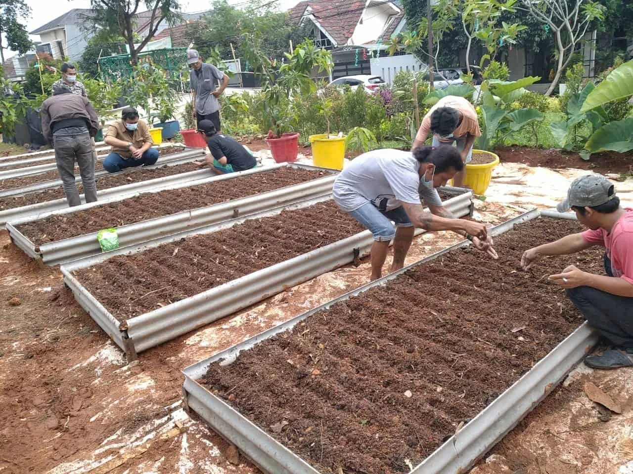 Kampung Mantul Lanjutkan Program Pertanian Tahap 2