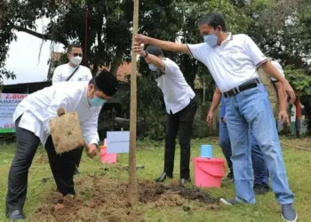 Sambut HUT Kota, Pemkot Tanam 2.800 Pohon di 13 Kecamatan