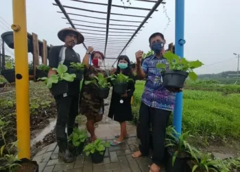 Ubah Lingkungan Kumuh Jadi Layak Dikunjungi Dengan Pertanian