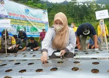 Bupati Irna Incar Posisi Kontributor Bawang Putih Nasional