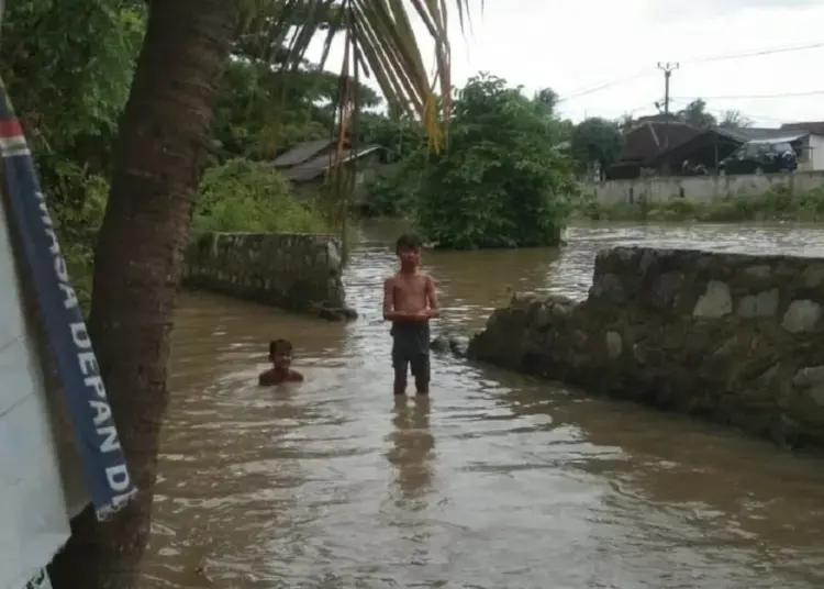 Tanggul Jebol, Desa Terendam Banjir, Ratusan Ribu Bibit Ikan Lele Hanyut