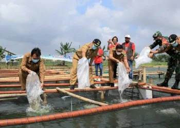 Ribuan Benih Ikan dan Bibit Tanaman Dibagikan ke KWT