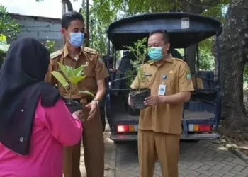 Masyarakat di Kota Tangerang Kembali Diberi Bibit Tanaman