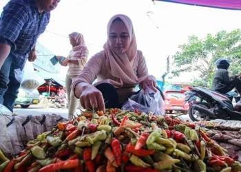 Gagal Panen, Harga Cabai di Kota Tangerang Mahal