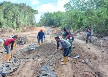 Jalan Pedesaan Gununganten-Jayasari Tahap Pengerasan