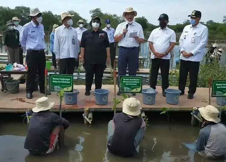 Empat Menteri Tanam Mangrove di Teluknaga Kabupaten Tangerang