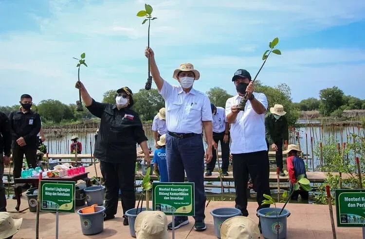 Empat Menteri Tanam Mangrove di Teluknaga Kabupaten Tangerang