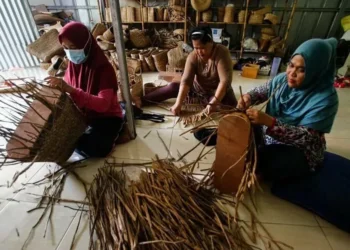 Melihat, Pembuatan Kerajinan Berbahan Dasar Eceng Gondok