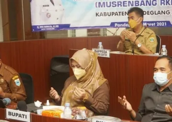 Bupati Irna Ingin Pembangunan Harus Tepat Sasaran