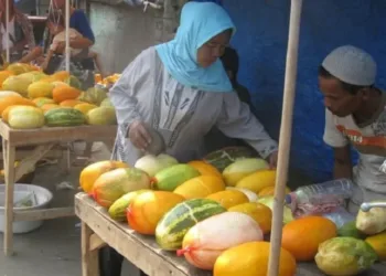 Petani dan Pedagang Timun Suri di Kabupaten Pandeglang Meraup Untung