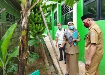 Butuh Kerja Keras dan Kekompakan Warga Sekolah, Pisang Ambon Bawa SMPN 1 Kemiri Raih Adiwiyata