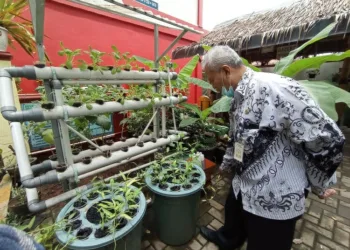 SDN Pinang 3 Mengejar Adiwiyata Mandiri, Berhasil Raih Piagam Adiwiyata Tingkat Nasional