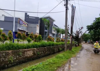 Praktisi Hukum Sebut Nihil Pembangunan, Izin Lokasi Bisa Dicabut