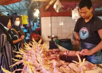 Harga Daging Ayam di Pasar Badak Pandeglang Tembus Rp38 Ribu PerKg