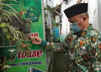 MIN 1 Tangerang Mengejar Adiwiyata Nasional, Tetap Berusaha “Hijau” di Lahan Sempit