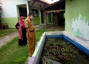 Berjuang Rebut Adiwiyata Tingkat Nasional, SMPN 1 Sepatan Mulai Berbenah