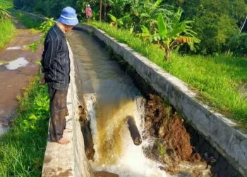 Saluran Irigasi Jebol, Petani di Tiga Desa Khawatir Gagal Panen