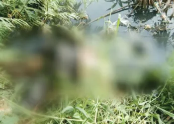 Mayat Wanita Tanpa Identitas Ditemukan di Tepi Sungai Cirarab