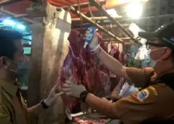 Warga Lebak Diminta Waspadai Daging Gelonggongan