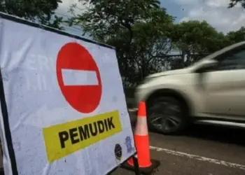 Kebijakan Mudik Lokal Dinilai Membingungkan