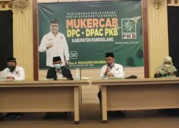 PKB Incar 10 Kursi di Pemilu 2024, Dorong Muhaimin Jadi Presiden