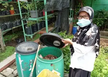 Olah Daun Sirih Jadi Keripik, SDN Tangerang 5 Andalkan Tanaman Obat