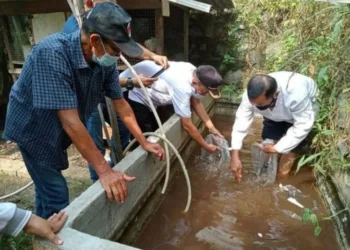 Pemkot Tangerang Bersiap Panen Lele Secara Virtual