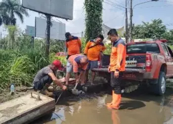 Tak Cuma Tangani Bencana, BPBD Lebak Juga Urus Ini