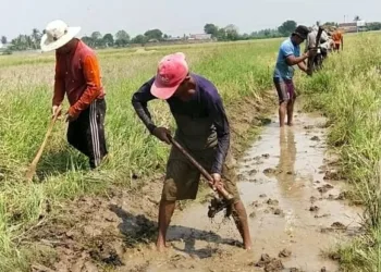 Saluran Air Irigasi Tersier di Kronjo Tangerang Direvitalisasi