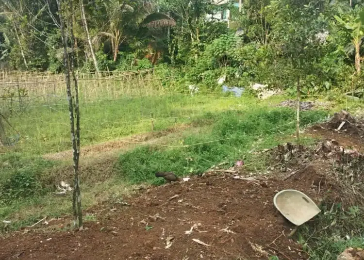 Warga Patirahet Keluhkan Pembangunan Tower di Tengah Kampung