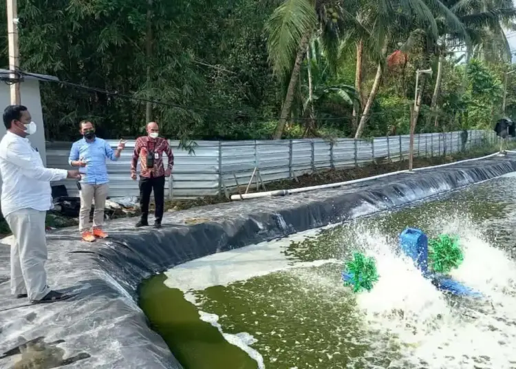 SIDAK–Ketua DPRD Pandeglang, Udi Juhdi didampingi Ketua Komisi I DPRD Pandeglang sedang menyidak tambak udang di Desa Sukarame, Kecamatan Carita, Kabupaten Pandeglang, Kamis (15/7). (NIPAL SUTIANA/SATELITNEWS.ID)