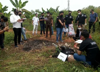 DS Seorang Pengangguran, Membunuh SZ Setelah Lamaran Ditolak