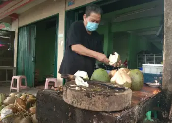 Kelapa Hijau Lagi Booming di Tangerang, Pedagang Raup 10 Juta per Minggu