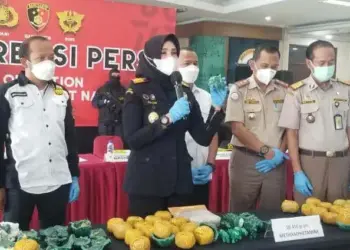 Penyelundupan Sabu Lebih dari 10 Kg dari Afrika Berhasil Digagalkan