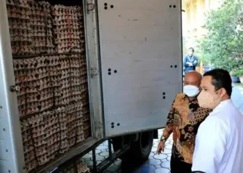 Pemkot Tangerang Terima Bantuan 3 Ton Telur dari Kemendag