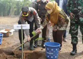 TANAM BIBIT SENGON–Bupati Pandeglang Irna Narulita, didampingi Kapolres Pandeglang bersama jajaran lainnya, menanam bibit Sengon di lahan petani, di Kecamatan Banjar, Jumat (3/9/2021). (NIPAL SUTIANA/SATELITNEWS.ID)