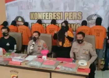 KASUS PENGEDAR GANJA–Satuan Reserse Narkoba (Satresnarkoba) Polres Serang, meringkus tujuh komplotan jaringan pengedar ganja. Ketujuh tersangka yaitu, berinisial AM, KO, AN, RM, RPP, AT dan MHT, Jumat (24/9/2021). (SIDIK/SATELITNEWS.ID)