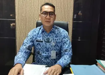 Kepala DPUPR Kabupaten Serang, Okeu Oktaviana. (ISTIMEWA)