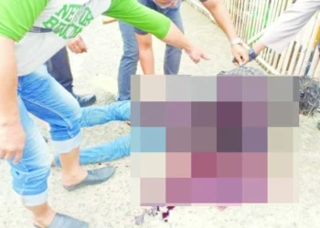 Seorang Pemuda Tewas dengan Luka Bacok di Tanjung Burung