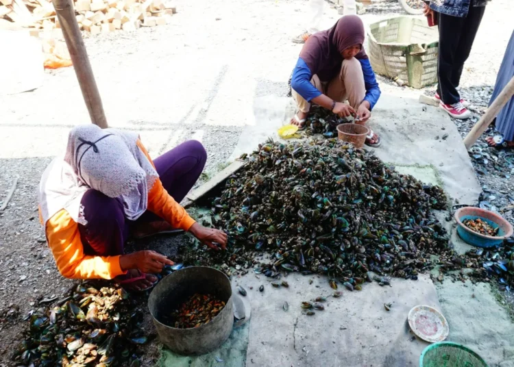 Potret Geliat Pedagang Kerang Ijo di Kabupaten Tangerang