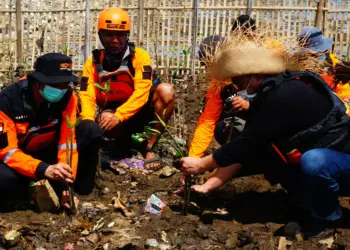 Potret Relawan Tanam Mangrove di Pulau Sampah Tanjung Burung