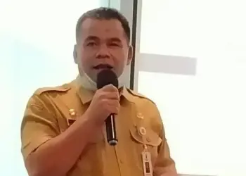 Kepala BKPSDM Kabupaten Serang, Mohammad Ishak Abdul Raup. (ISTIMEWA)