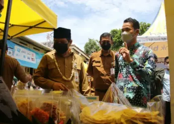 Sekda Kabupaten Serang, Tubagus Entus Mahmud Sahiri, menghadiri acara Gebyar Senyum Nusantara, yang di gagas Graha Kreatif, di Kampung Katileng, Desa Pasirbuyut, Kecamatan Jawilan, Selasa (19/10/2021). (ISTIMEWA)