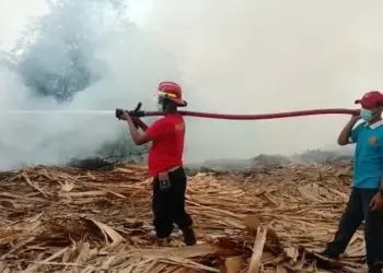 Limbah Triplek di Rangkasbitung Terbakar, Begini Dampaknya