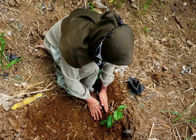 Potret Penanaman Pohon dan Operasi Bersih di Kawasan Sungai Cisadane